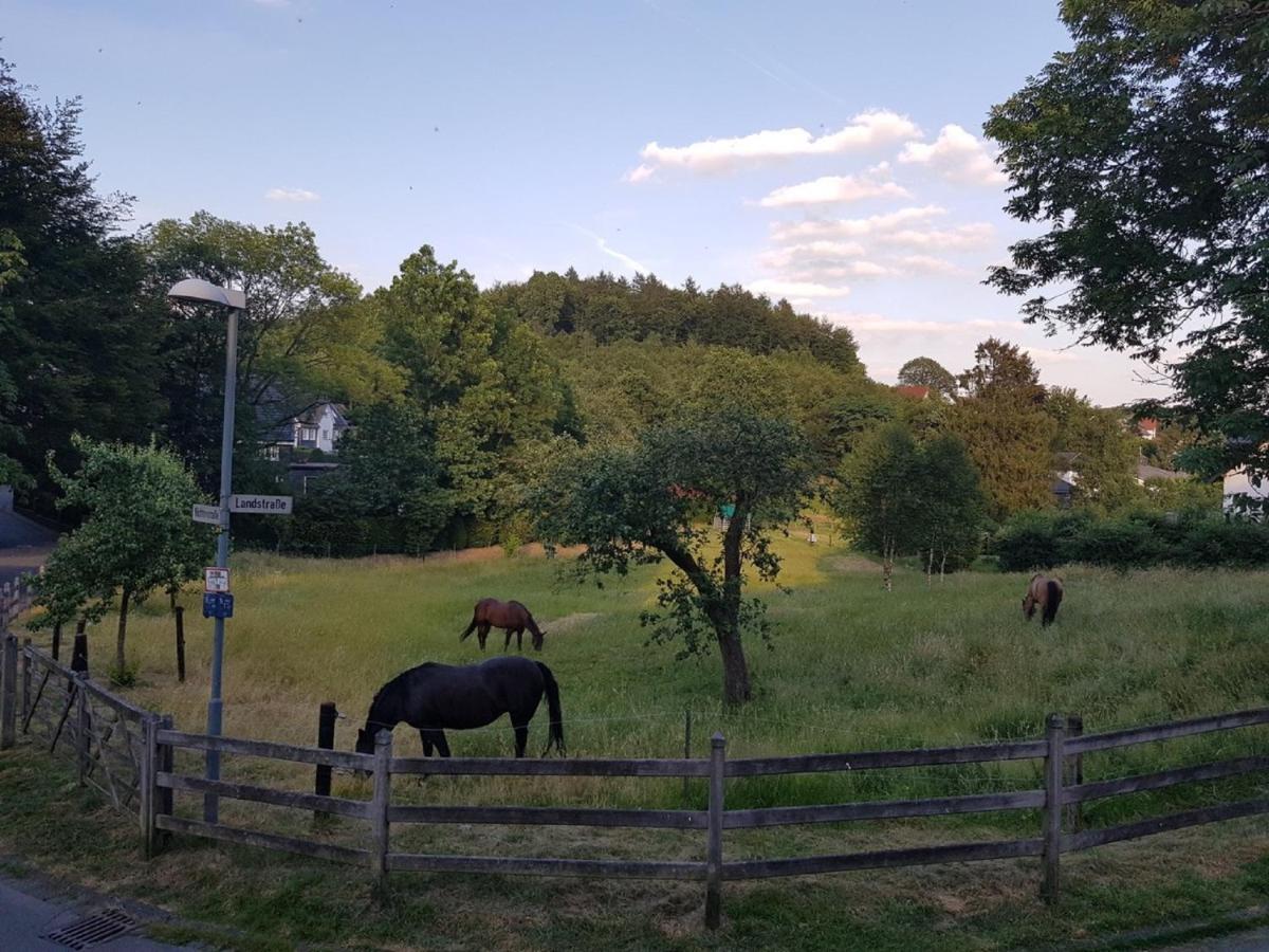 Ferienwohnung Drei Lilien Гумерсбах Екстериор снимка